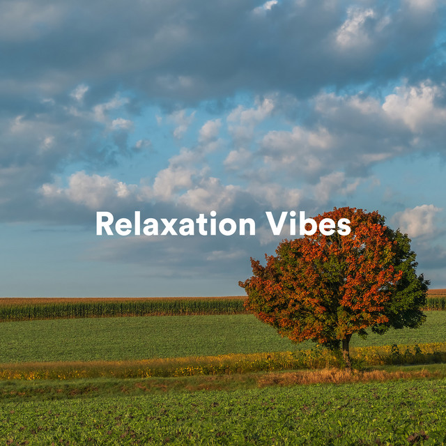 Relaxation Vibes cover art