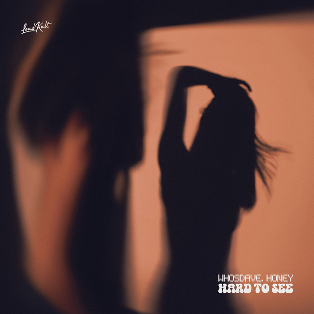 Обкладинка: Hard To See — whosdave