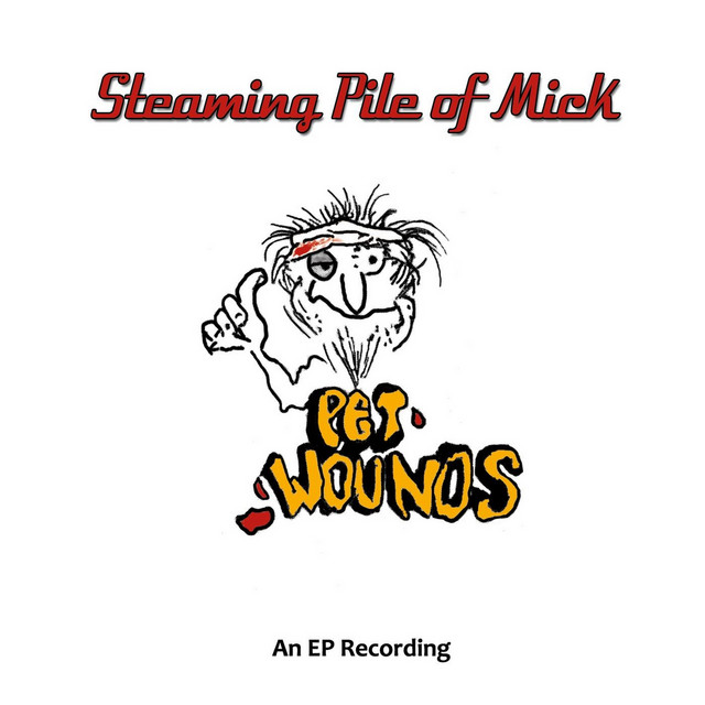 Your Sleepy Melody Song By Steaming Pile Of Mick Spotify