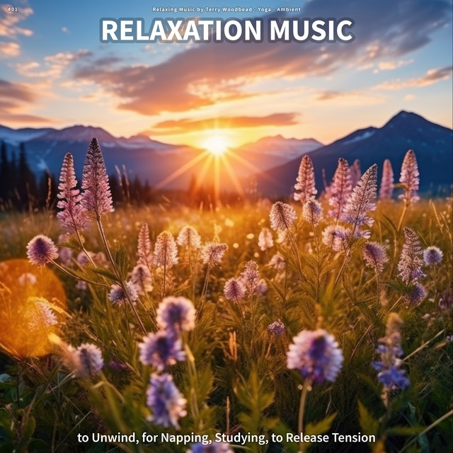 #01 Relaxation Music to Unwind, for Napping, Studying, to Release ...
