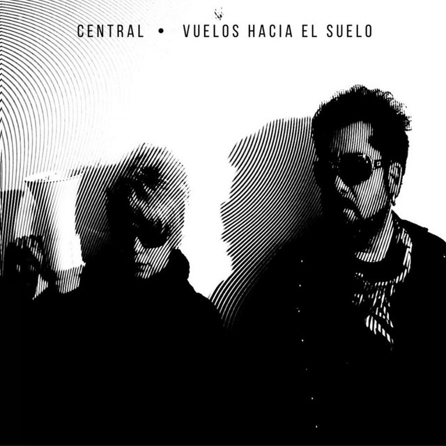 Vuelos hacia el suelo cover art