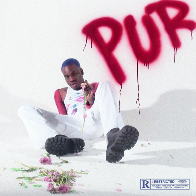 PUR. cover art
