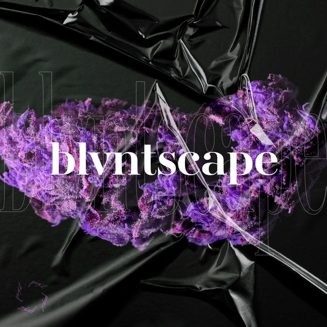 blvntscape cover art