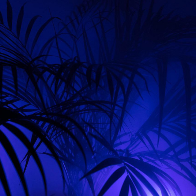 Care cover art