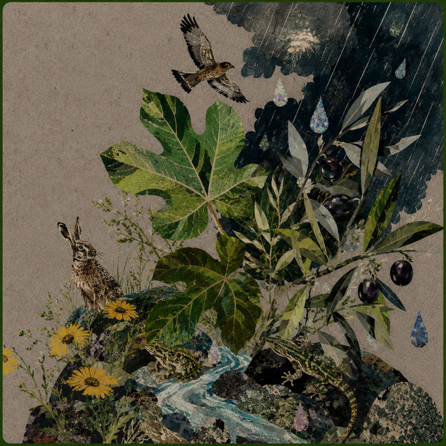 The Quiet Applause Of Leaves cover