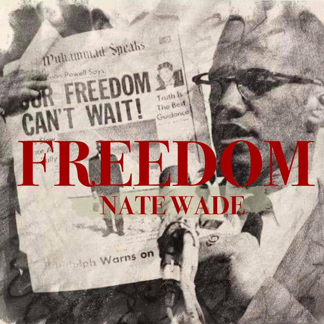 Freedom - Single by Nate Wade | Spotify