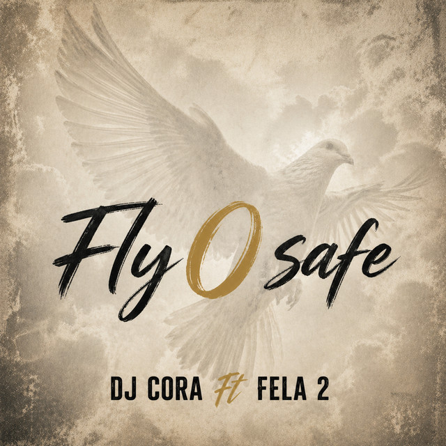 Fly O Safe cover art