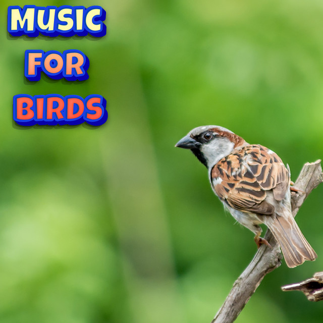 Gentle Ambient Piano Music To Relax Birds cover art