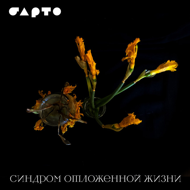Синдром отложенной жизни, Часть 1: Птица cover art