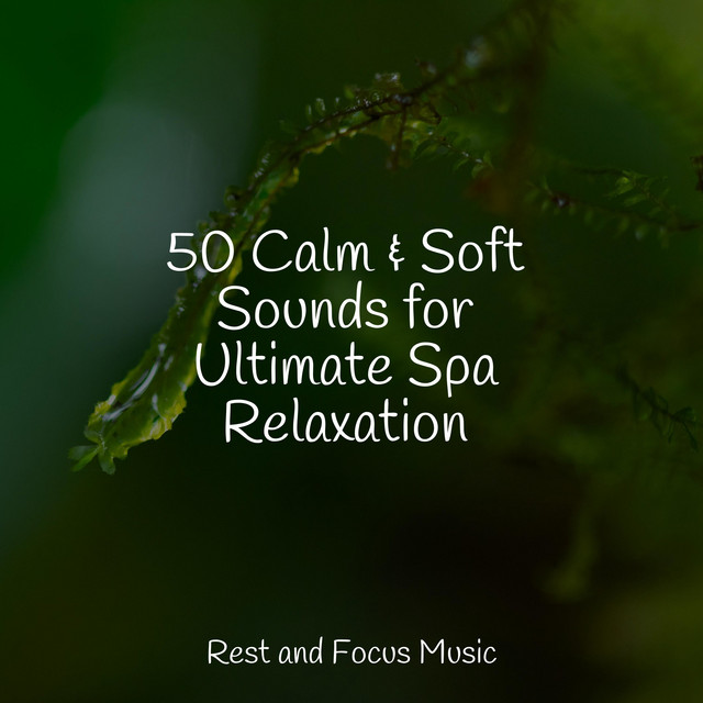 50 Calm & Soft Sounds for Ultimate Spa Relaxation - Album by Spa ...