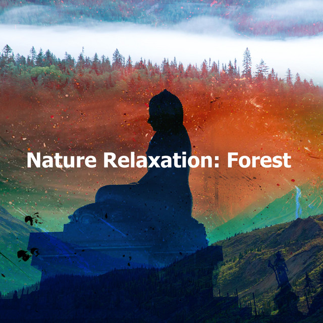 Nature Relaxation: Forest - Album by Nature Sounds Relaxation: Music ...