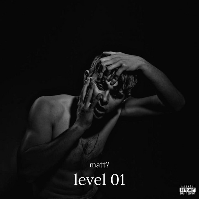 level 01 cover art