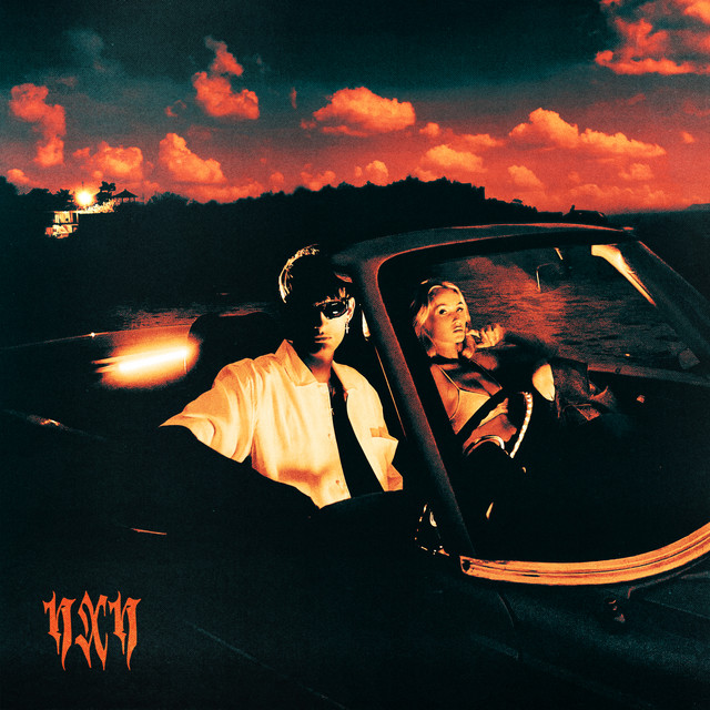 Видимо cover art