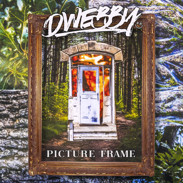 Picture Frame cover art