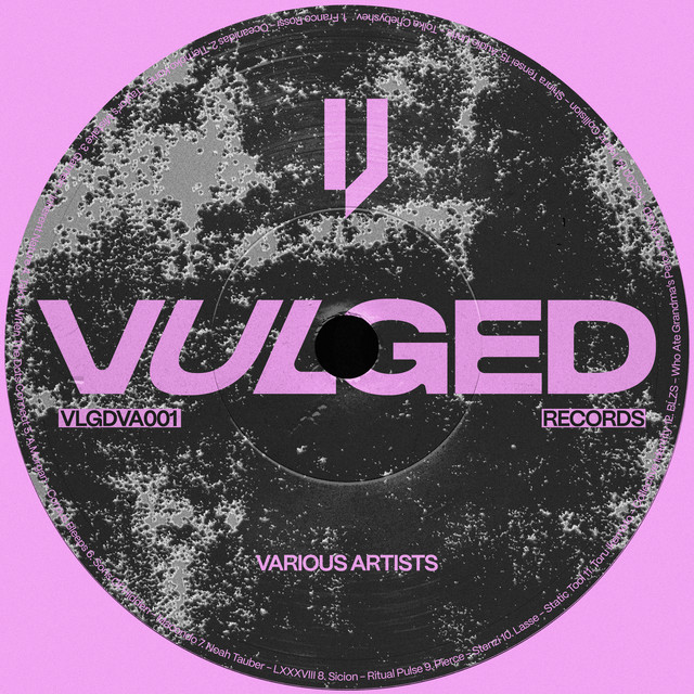 Vulged Records Various Artists 001 cover art