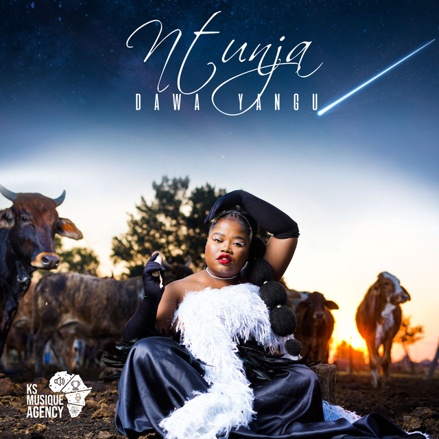 Nkunzi Ye Hhashi cover art