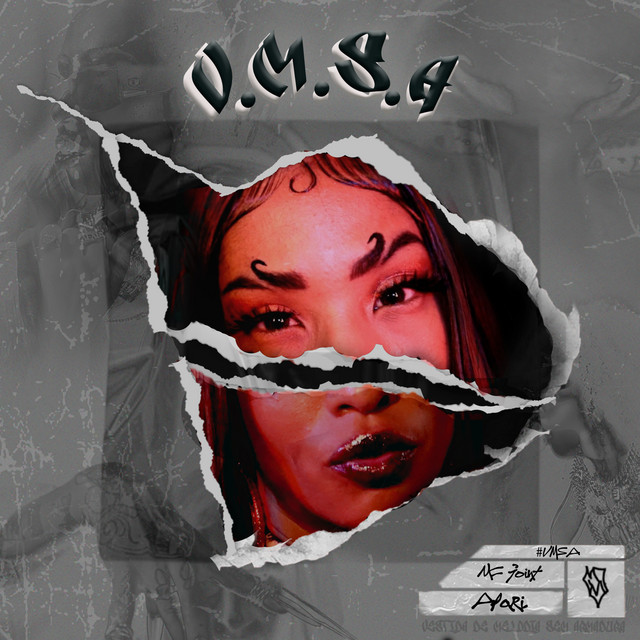 V.M.S.A cover art