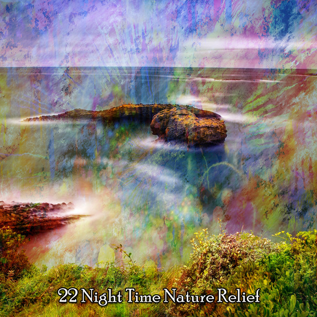 22 Night Time Nature Relief - Album by Pro Sound Effects Library | Spotify