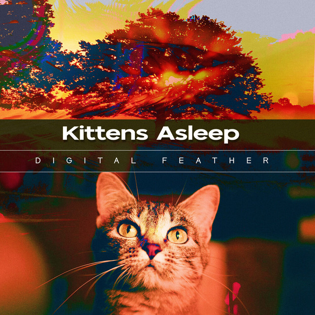 Kittens Asleep cover art