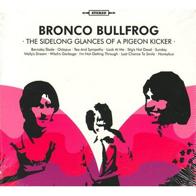 The Sidelong Glances of a Pigeon Kicker cover art