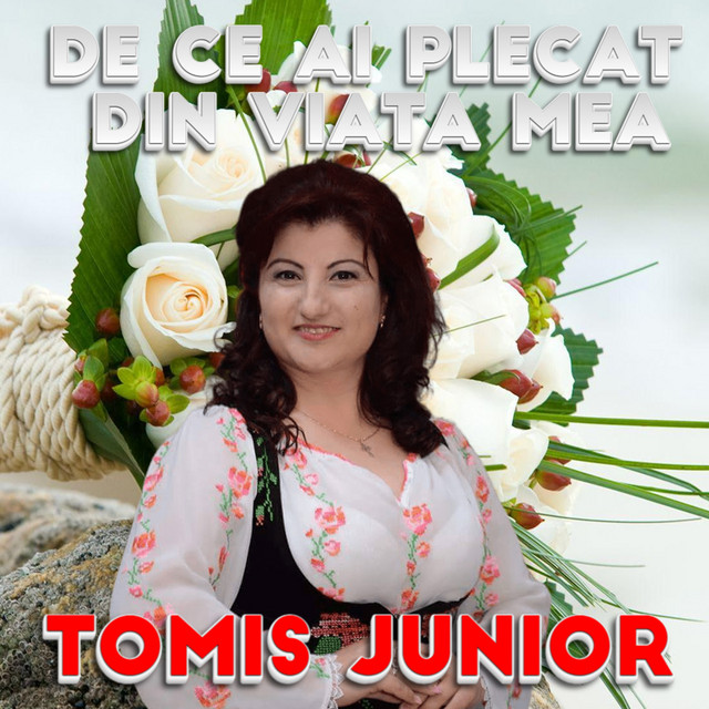 De Ce Ai Plecat Din Viata Mea cover art