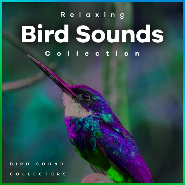 Relaxing Bird Sounds Collection - Album by Bird Sound Collectors | Spotify