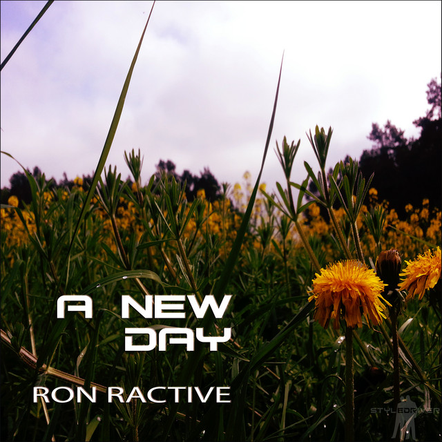 A New Day cover art