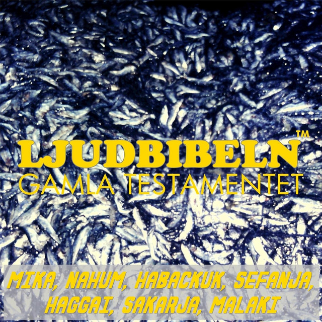 Mika, Nahum, Habackuk, Sefanja, Haggai, Sakarja, Malaki