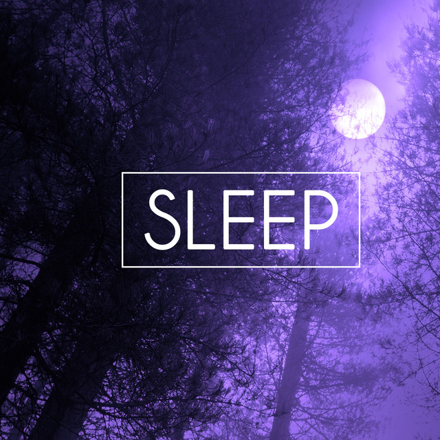 Sleep cover art
