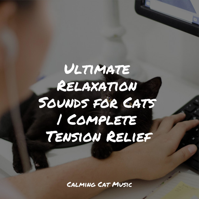 Ultimate Relaxation Sounds for Cats | Complete Tension Relief - Album ...