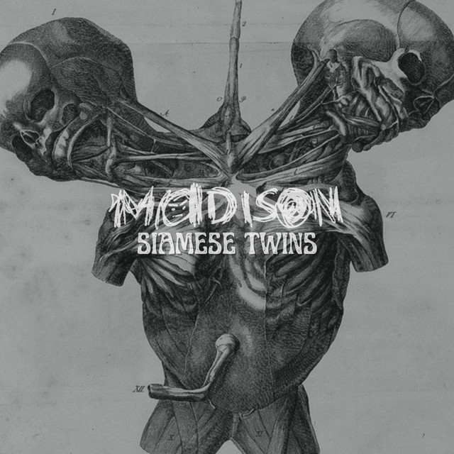 siamese twins cover art