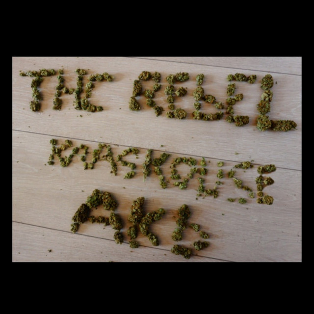 THC Rebel