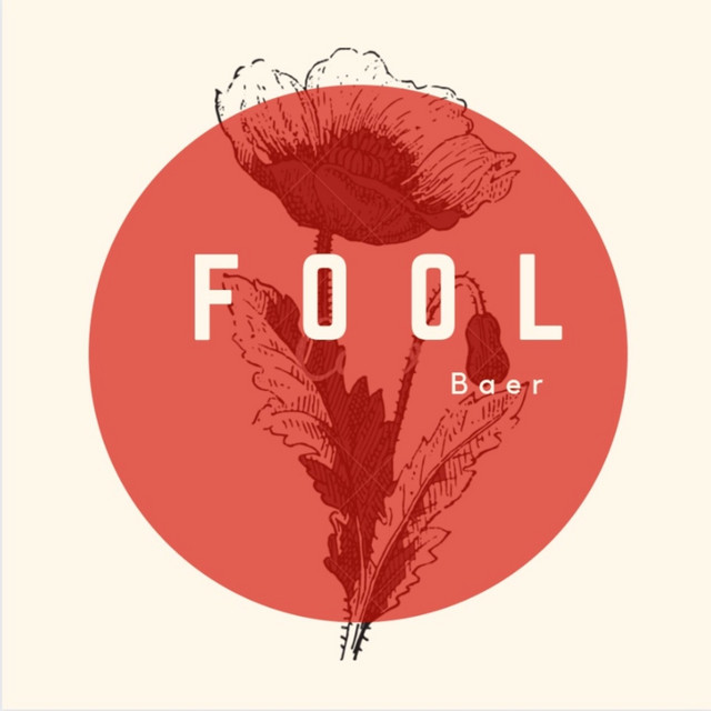 Fool cover art