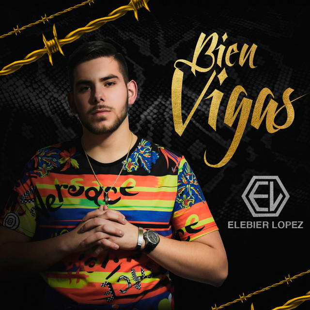 Bien Vigas