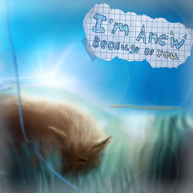 I'm Anew, Because of You cover art