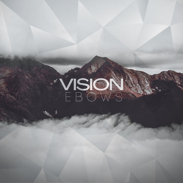 Vision cover art