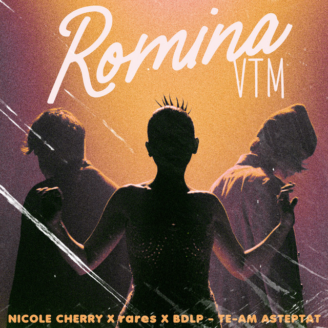 Te-am așteptat - From "Romina VTM" The Movie