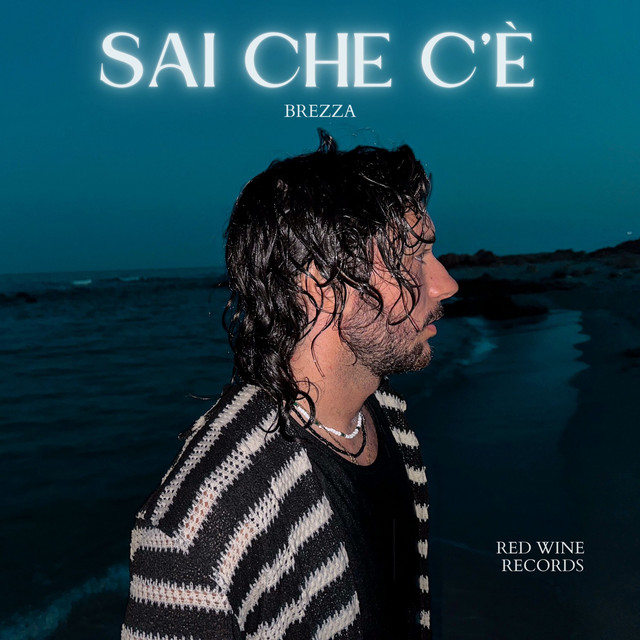 Sai che c'è cover art