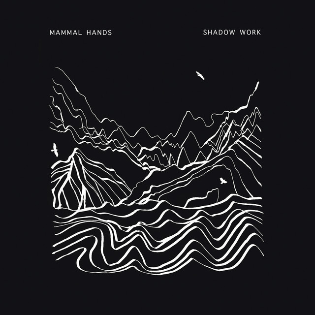 SHADOW WORK cover art
