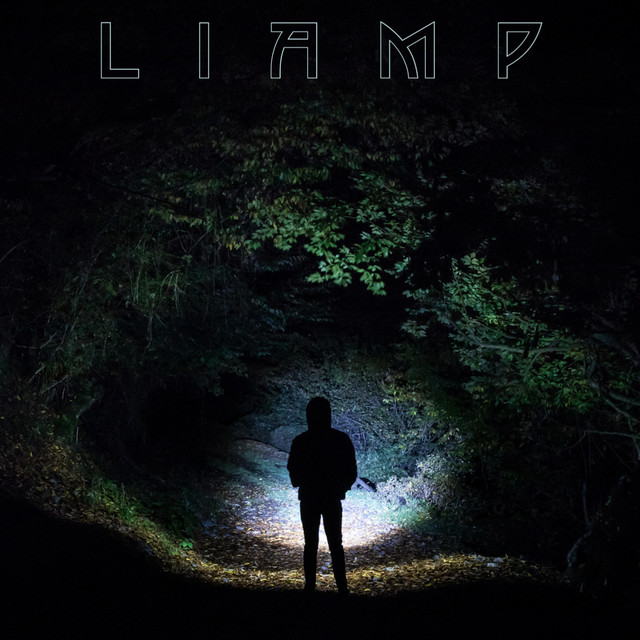 Heartless - song and lyrics by LiamP | Spotify