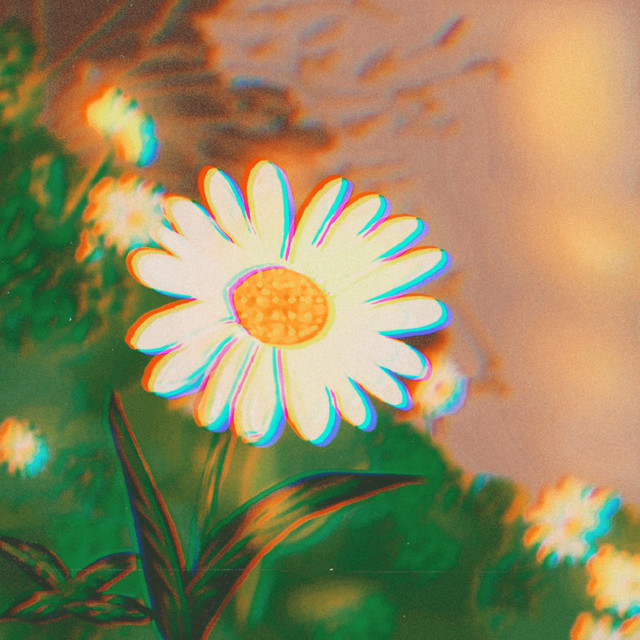 Garden (Jardim)