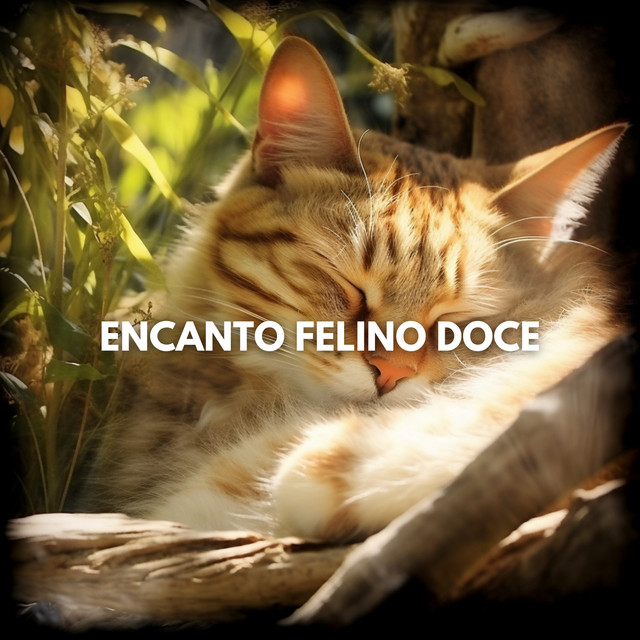 Encanto Felino Doce cover art