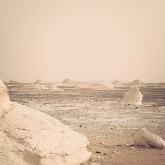 The White desert