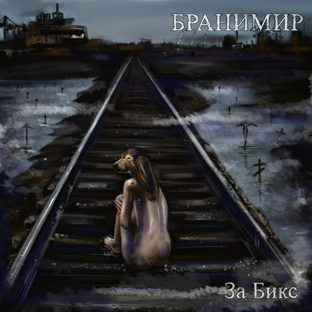 За бикс cover art