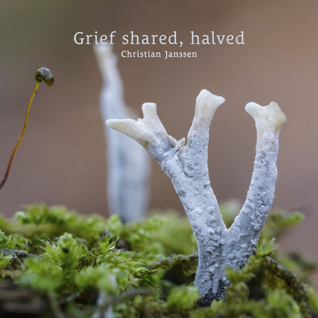 Grief shared, halved album image