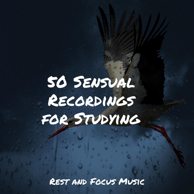 50 Sensual Recordings for Studying cover art