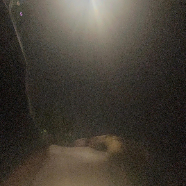 never tried cover art