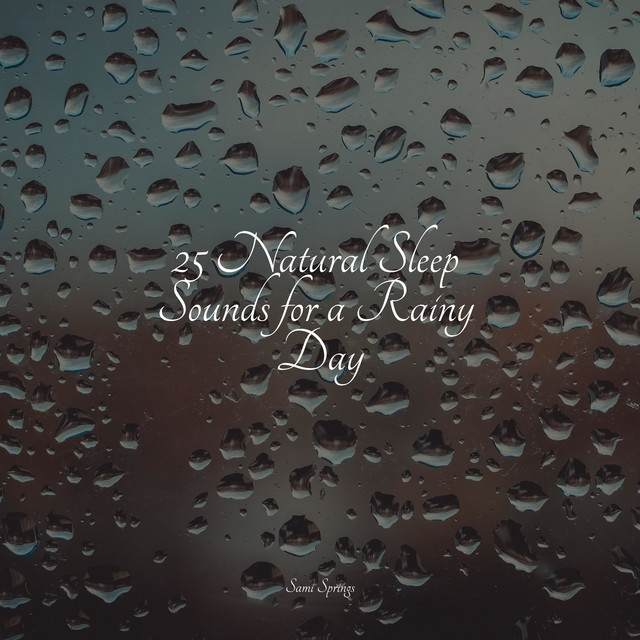 25 Natural Sleep Sounds for a Rainy Day - Album by Cascada de Lluvia ...