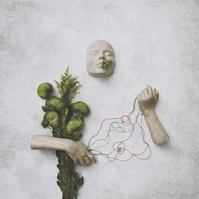 A Mouth May Grow cover art