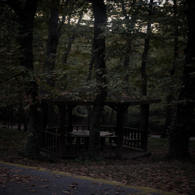 Something About You album image